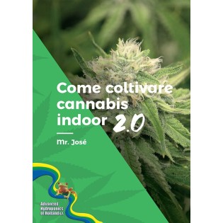 Come coltivare cannabis...