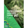 Come coltivare cannabis indoor 2.0